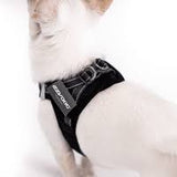 Ezydog Formfit Mesh Harness Xs Black