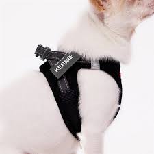Ezydog Formfit Mesh Harness L Black