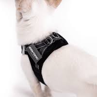 Ezydog Formfit Mesh Harness L Black