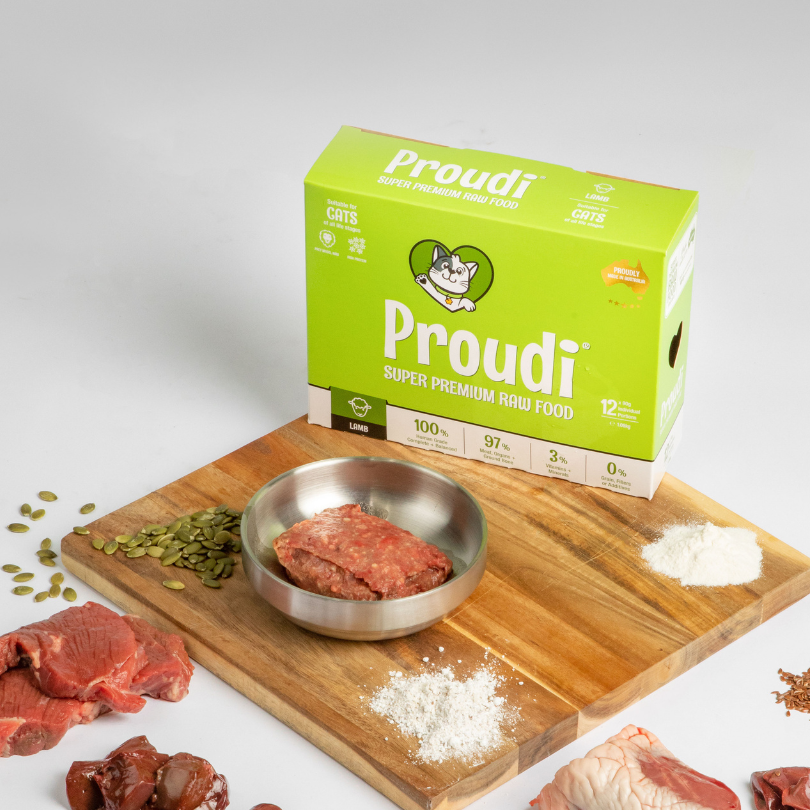 Proudi Cat Lamb 12x90g
