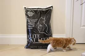 Elite Pine Cat Litter 15kg