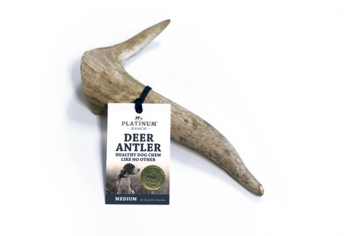 Pr Deer Antler Medium