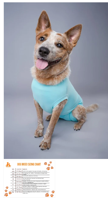 Dog Recovery Suit Light Blue Xs