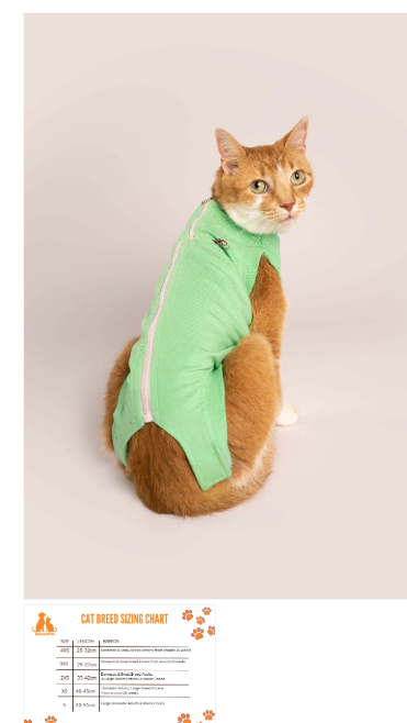 Cat Recovery Suit Summer Green 4xs