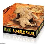 Exo Terra Buffalo Skull Medium