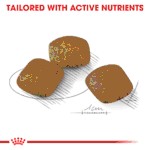 Royal Canin Medium Relax Care 3kg
