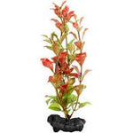 Tetra Decoart Red Ludwigia L