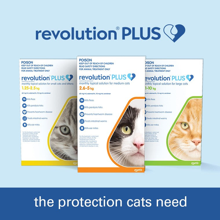REVOLUTION PLUS CAT MEDIUM 2.5-5KG 3PK