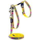Reflectocat Dayglo 11mm Harness & Lead