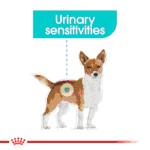Royal Canin Urinary Care Loaf 85g