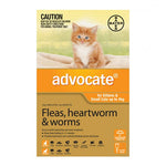 Advocate Cat Up To 4kg Orange 6's