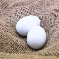 FALSE POULTRY EGG SINGLE