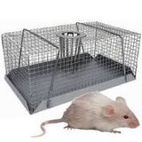 Mouse Trap 11.5cm - Humane