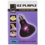 Urs Oz Purple Night Globe 60w