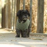 Huskimo Jumper Frenchknit Eucalyptus 46cm