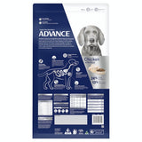 Advance Dog Healthy Ageing Large Breed 15kg