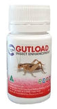 Pisces Gutload Insect Enhancement 40g