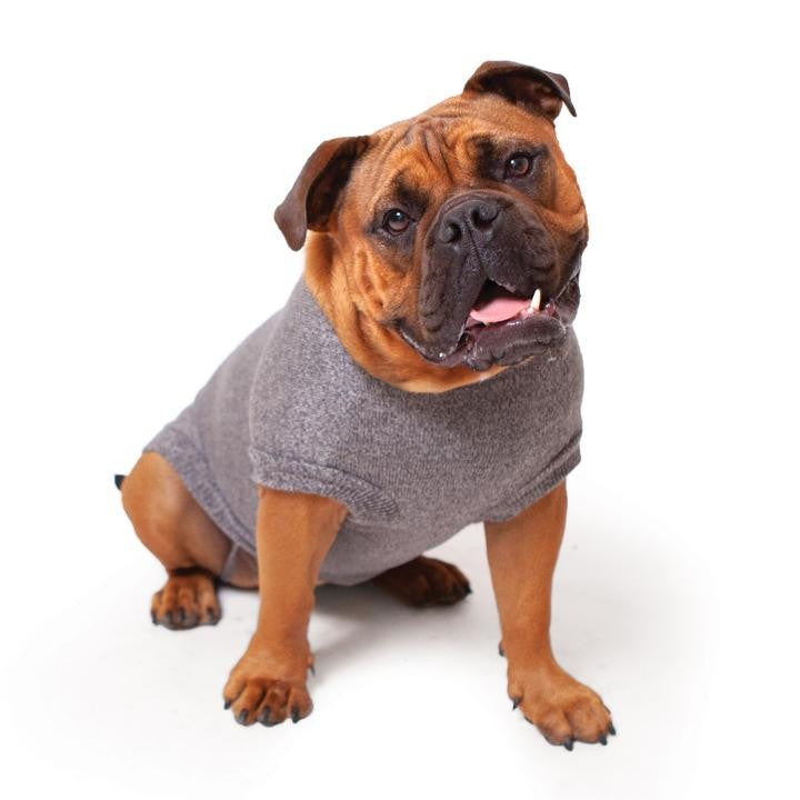 Gumnut Jumper Grey 59.5cm
