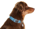 Doog Neoprene Dog Collar Snoopy - Medium